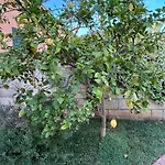 Сasa de vacaciones Grande In Casale Ristrutturato