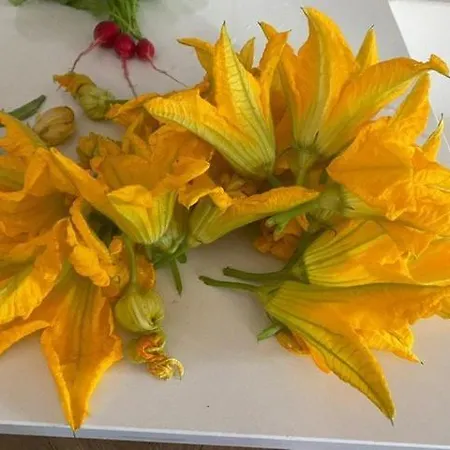 Grande In Casale Ristrutturato Santa Domenica (Vibo Valentia)