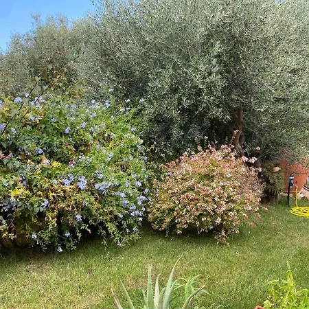 Grande In Casale Ristrutturato Hébergement de vacances