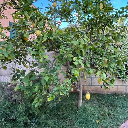 Prázdninový dům Grande In Casale Ristrutturato