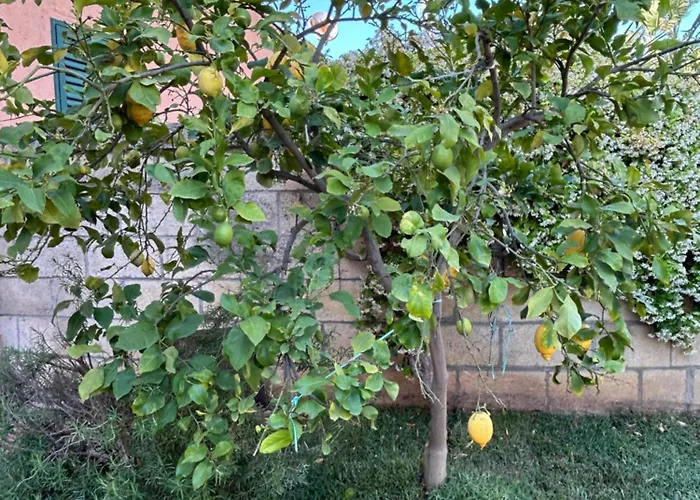 בית נופש Grande In Casale Ristrutturato